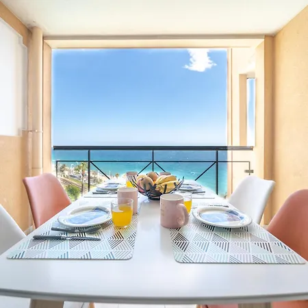 La Palme D'azur - Cannes